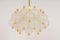 Large Frosted Glass and Brass Chandelier from Kinkeldey, Germany, 1970s 7