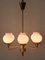 Mid-Century Modern Tulipan Pendant Lamp from Kaiser, 1950s 12