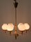 Mid-Century Modern Tulipan Pendant Lamp from Kaiser, 1950s 4