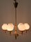 Mid-Century Modern Tulipan Pendant Lamp from Kaiser, 1950s, Image 4