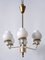 Mid-Century Modern Tulipan Pendant Lamp from Kaiser, 1950s, Image 16