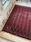 XL Middle Eastern Red Rug 24
