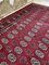 XL Middle Eastern Red Rug 14