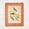 Lithographies Ornithologiques Victoriennes, Encadrées, Set de 4 2