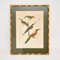 Viktorianische ornithologische Lithographien, gerahmt, 4er Set 4