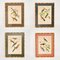 Lithographies Ornithologiques Victoriennes, Encadrées, Set de 4 1