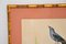 Litografia ornitologica vittoriana, con cornice, set di 4, Immagine 13
