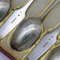 Biedermeier Coffee Spoons with Tremults in 13 Lot Silver from Nürnberg, Set of 12 3