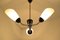 Mid-Century Ceiling Light from Drukov, 1960s, Image 9