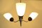 Mid-Century Ceiling Light from Drukov, 1960s 8