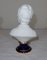 Small Bust of Alexandre Brongniart in Biscuit Porcelain in the style of J.A. Houdon, Image 7