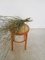 Viennese Wood and Straw Stool 6