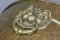 Antique Brass with Lion Heads Flowerpot 4