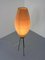 Lampadaire Tripode Mid-Century, 1950s 10