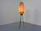 Mid-Century Tripod Floor Lamp, 1950s 3