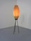 Mid-Century Tripod Floor Lamp, 1950s, Image 6