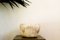 Italian White Porous Stone Vase, Image 2