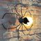 Italian Handmade Lucky Charm Spider Sconce from Rossini Illuminazione, 1960s, Image 5