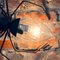 Italian Handmade Lucky Charm Spider Sconce from Rossini Illuminazione, 1960s 4