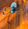 Italian Handmade Lucky Charm Spider Sconce from Rossini Illuminazione, 1960s, Image 1