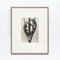 Karl Blossfeldt, Fleur Noire et Blanche, 1942, Photogravure 5