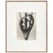 Karl Blossfeldt, Black & White Flower, 1942, Fotograbado, Imagen 1