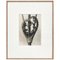 Karl Blossfeldt, Black & White Flower, 1942, Heliogravüre 1