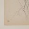 Dora Maar, Pointillist Composition, 20th-century, Ink on Paper 5