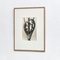 Karl Blossfeldt, Black & White Flowers, 1942, Etchings, Framed, Set of 9 15