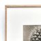 Karl Blossfeldt, Black & White Flowers, 1942, Etchings, Framed, Set of 9 19