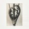 Karl Blossfeldt, Black & White Flowers, 1942, Etchings, Framed, Set of 9 16
