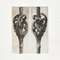 Karl Blossfeldt, Black & White Flowers, 1942, Etchings, Framed, Set of 9 12