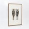 Karl Blossfeldt, Black & White Flowers, 1942, Etchings, Framed, Set of 9 11