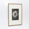 Karl Blossfeldt, Black & White Flowers, 1942, Etchings, Framed, Set of 9 5