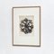 Karl Blossfeldt, Black & White Flowers, 1942, Etchings, Framed, Set of 9 9
