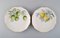 Porcelain Plates from Kronach, Germany, 1940s, Set of 14 4