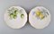 Porcelain Plates from Kronach, Germany, 1940s, Set of 14, Image 4