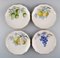 Porcelain Plates from Kronach, Germany, 1940s, Set of 14 2