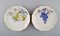 Platos de porcelana de Kronach, Germany, años 40. Juego de 14, Imagen 3