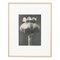 Karl Blossfeldt, Black & White Flower, 1942, Photogravure 1