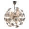 Dandelion Chandelier from Preciosa, 1970s, Image 1