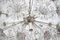 Dandelion Chandelier from Preciosa, 1970s, Image 6