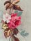 French Aubusson Valance Tapestry 9