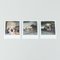 Miquel Arnal, Polaroid Photographs, Set of 3 2