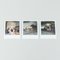 Photographies Polaroid Miquel Arnal, Set de 3 2