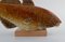 Pesce in ceramica smaltata di Sven Wejsfelt per Gustavsberg, Immagine 3