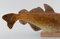 Pesce in ceramica smaltata di Sven Wejsfelt per Gustavsberg, Immagine 4