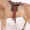 Italian Paper Wood Straw Stuffed Horse 4