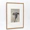 Karl Blossfeldt, Black & White Flower, 1942, Photogravure 2