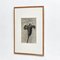 Karl Blossfeldt, Black & White Flower, 1942, Photogravure 3